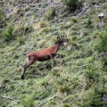 IMG 7524
