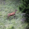 IMG 7527
