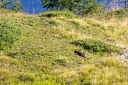  img 4705a