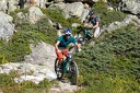  img 4747a
