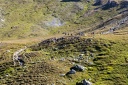 img 4871a