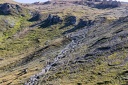  img 4873a