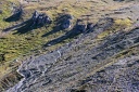  img 4876a